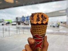 -谢列梅捷沃国际机场