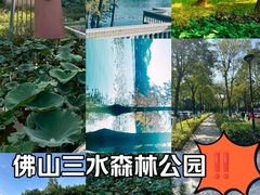 -三水森林公园