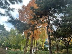 -国家植物园南园