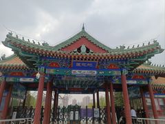 -莲花池公园
