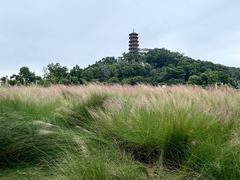 -红花山公园