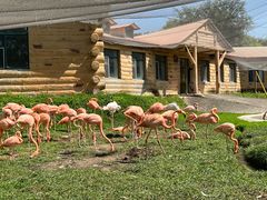 -哈尔滨北方森林动物园