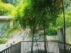 -天怡·鱼工厂(梅溪湖店)
