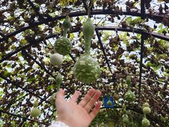 -中国天府农业博览园