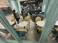 -安格丽娜·狗咖·猫咖羊驼咖(春熙路百盛商场店)