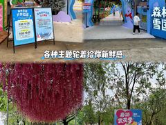 -盈香心动乐园