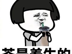 -茶百道(中央大街店)