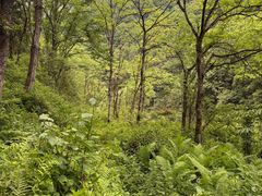 -西岭雪山大飞水景区