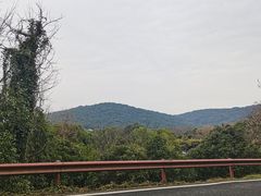 -宝界山林公园