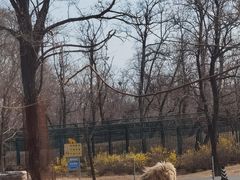 -秦皇岛野生动物园