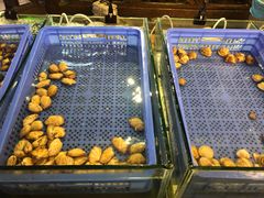 -渔家火锅·海鲜自助餐·演艺(亚龙湾天域酒店)