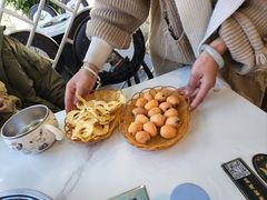 -蘑统田下·野生菌火锅