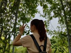 -尚贤河湿地