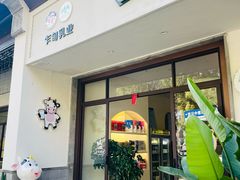 -乍甸乳业鲜奶吧(红河水乡店)