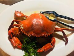 -越海渔村