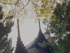 -秋霞圃