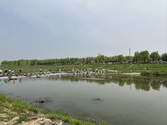 -洨河生态公园