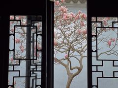 -耦园