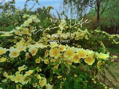 -郑州中国绿化博览园