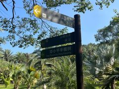 -深圳仙湖植物园