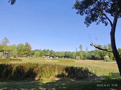 -广富林郊野公园