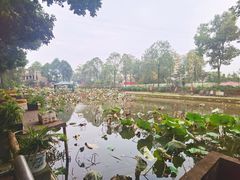 -蜀宴新村·柴火鸡(柏水店)