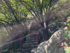 -鲁山国家森林公园