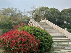 -桃花岛景观公园