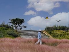 -王借岗森林公园