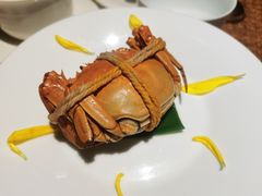 -觀芷隐轩