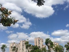 -旺泉餐饮店·清真牛肉面馆