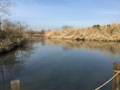 iphone_upload_pic-溱湖国家湿地公园