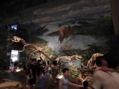 -自贡恐龙博物馆