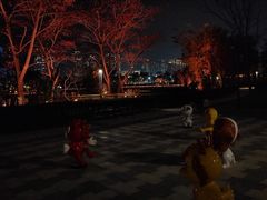 -龙江公园
