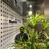 福永藏着一家很适合团建的饭店