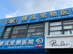 -康成宠物医院24H·CT·核磁共振