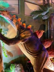 -恐龙探索乐园(磁器口店)