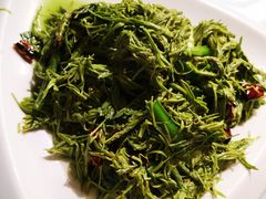 -三碗水湖生态园