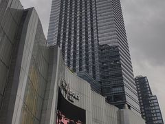 -金茂览秀城