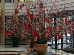 -上海安亭别墅花园酒店