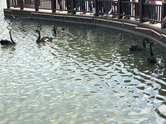 -南通濠河风景名胜区