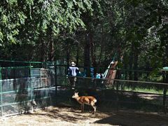 -青藏高原野生动物园