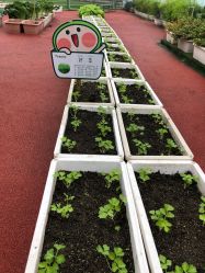 -梦田都市农场(银泰城店)