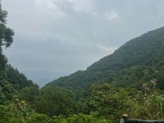 -梧桐山风景名胜区