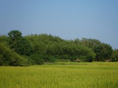 -良渚古城遗址公园