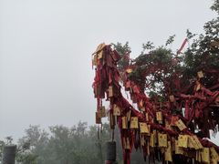 -洛阳白云山景区