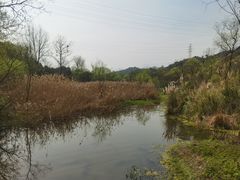 -西湖风景区-江洋畈生态公园