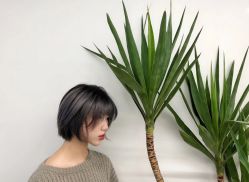 -Y-STUDIO原理