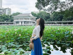 -荔湾湖公园