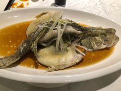 清蒸鱸魚-马凯餐厅(长椿街店)